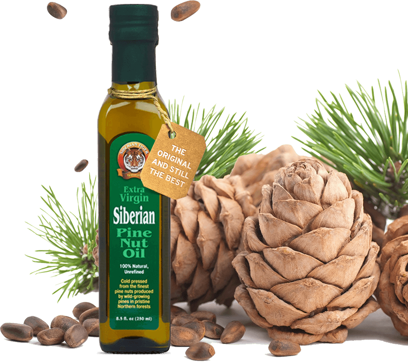 Extra virgin Siberian pine nut oil with pine cone